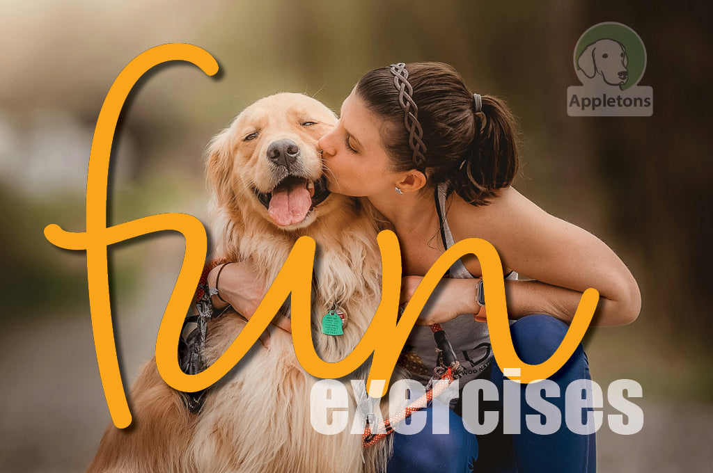 7 Fun Exercises For You and Your Dog