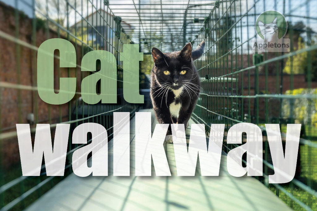 Can Catio Tunnels Open Up An Indoor Cat's World