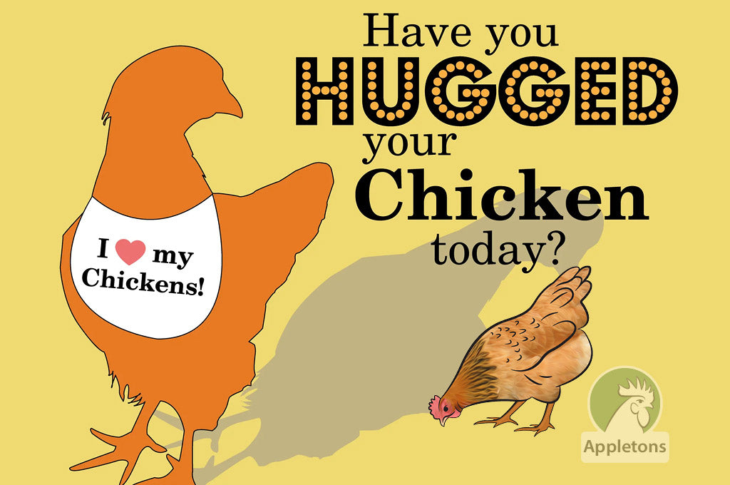Blog Chicken Fowl or Poultry