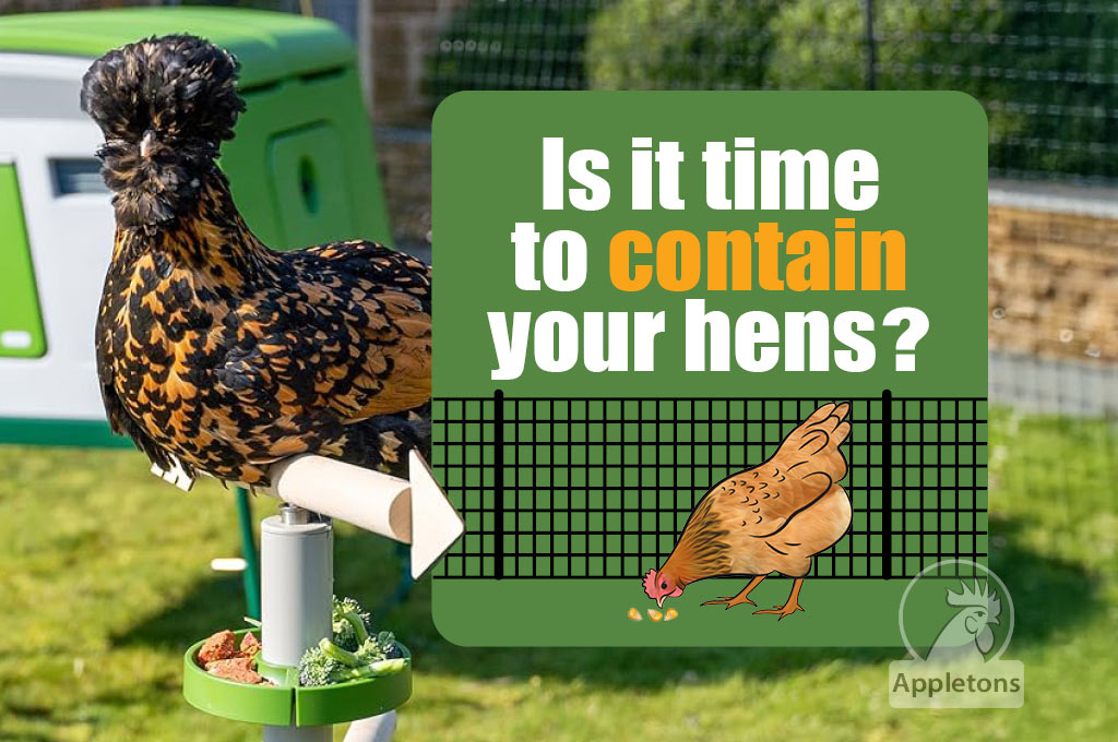 Blog Contain Your Hens