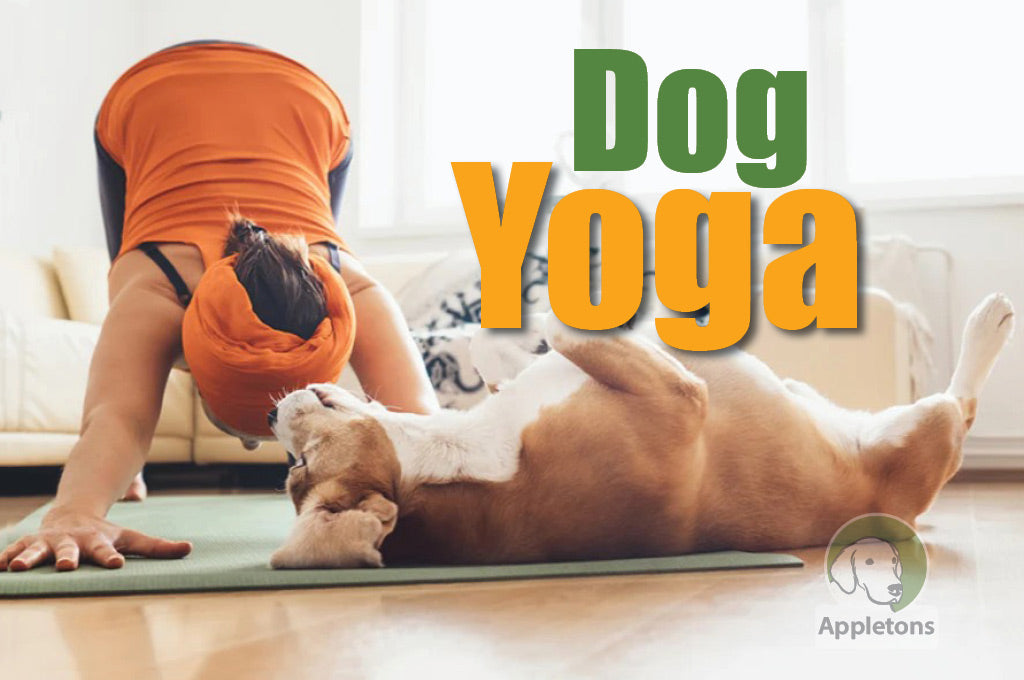 Doga
