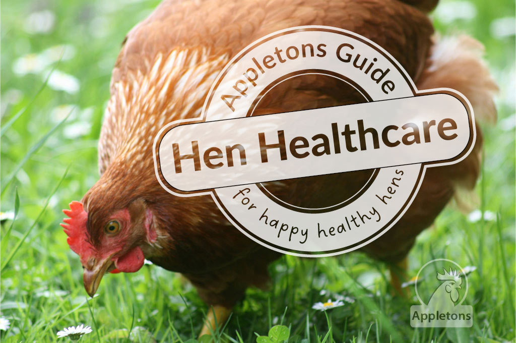 Blog Happy Healthy Hens Healthcare