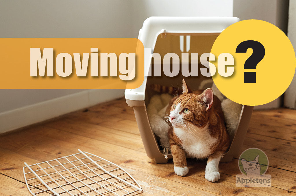 Moving House with Your Cat?