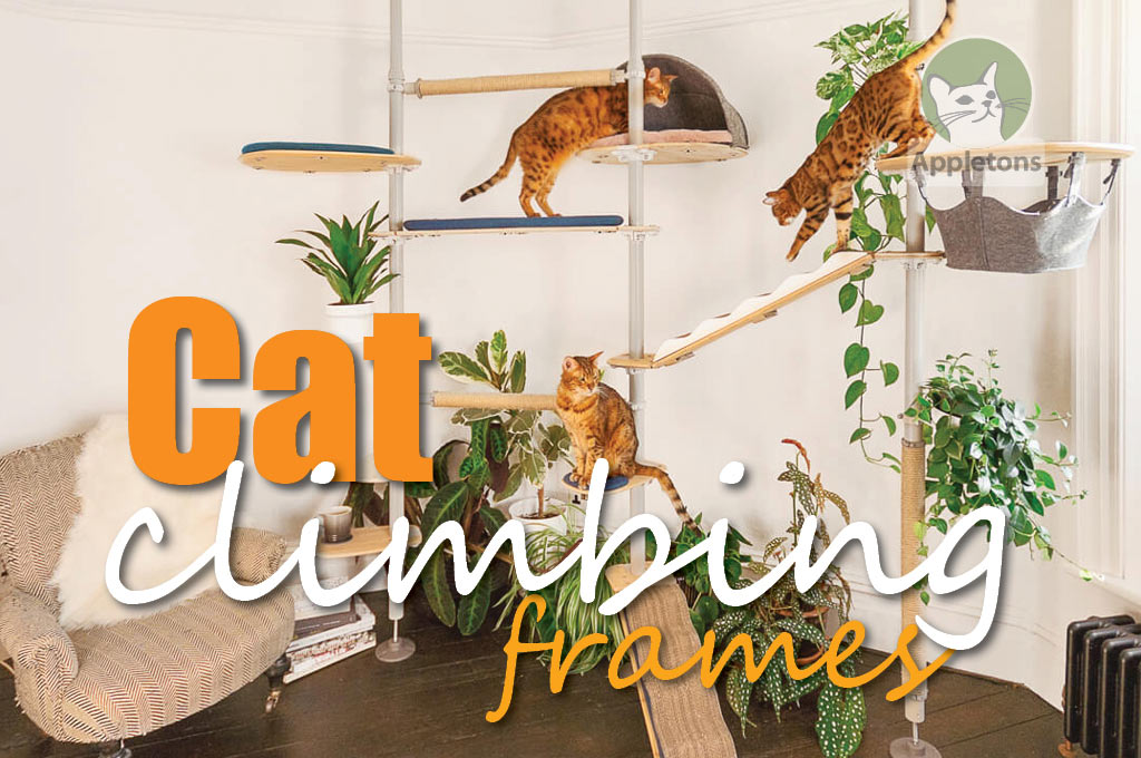 What Omlet Cat Tree Best Suits My Cat?