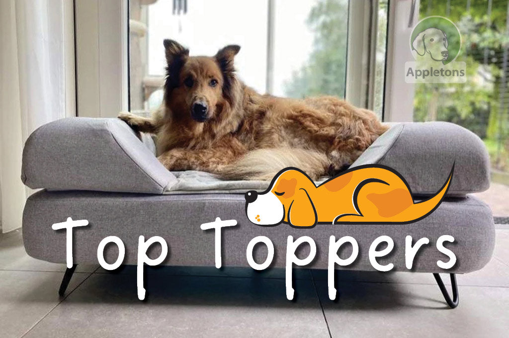 Which Topper Is Best For Your Dog