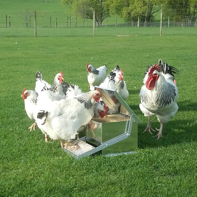 Appletons Step On Feeder