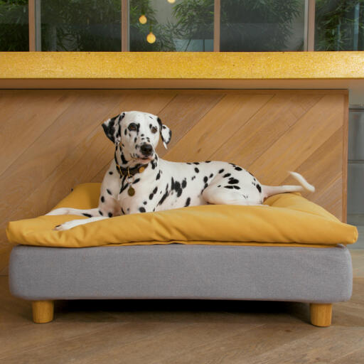 Topology Customisable Luxury Dog Beds