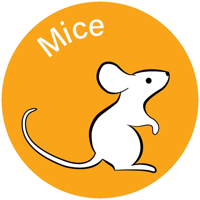 Mouse products
