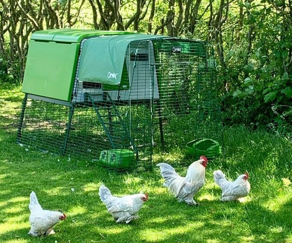 Omlet Eglu Movable Chicken Coops Appletons