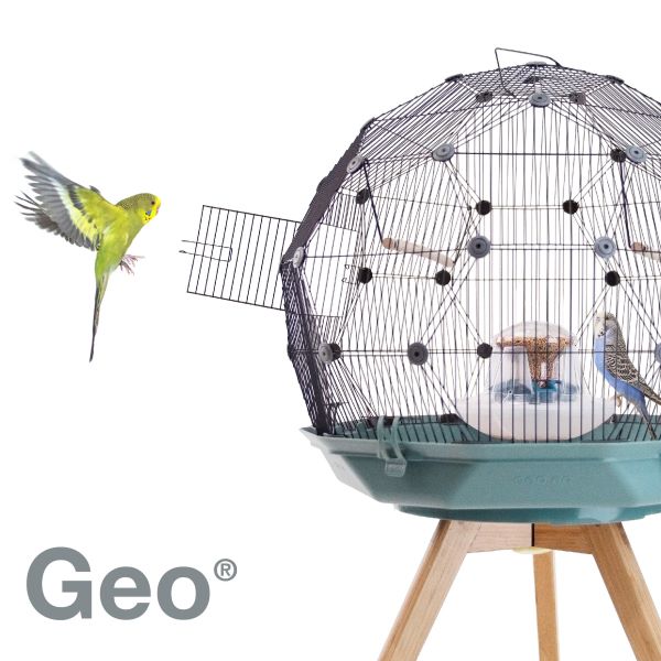 Geo bird cage