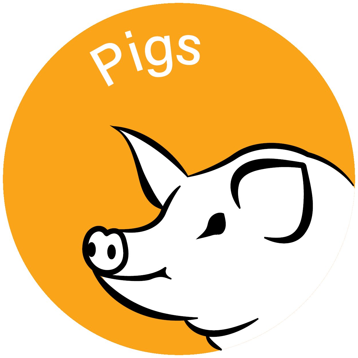 Pig products