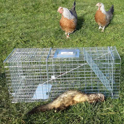Cat or Possum Trap (Live Capture Cage Trap)