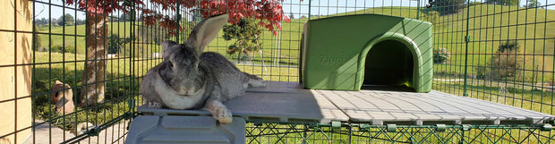 Find out more about us