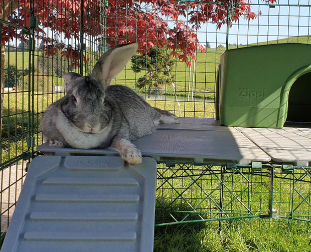 Find out more about us