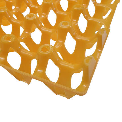 Plastic Egg Tray For 30 Chicken Eggs Yolk Yellow