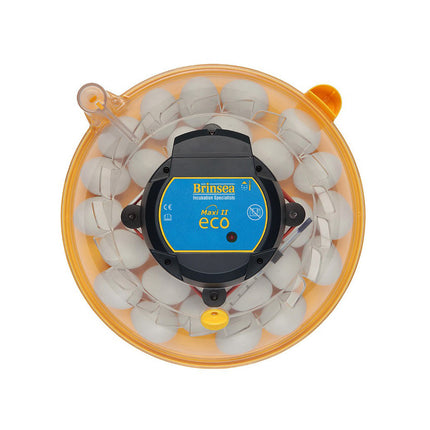 Brinsea Maxi II ECO Incubator