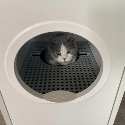 Omlet Maya Cat Litter Box