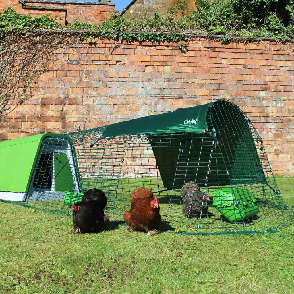 Eglu Go chicken coop with hens