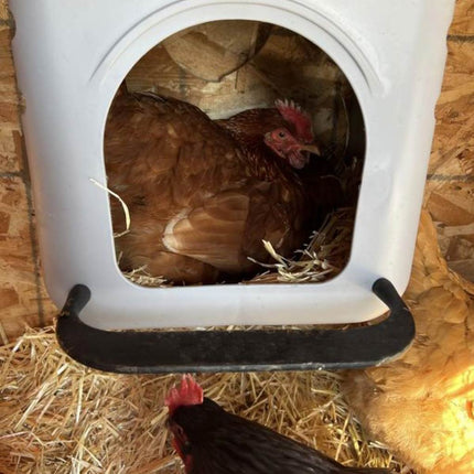 Easy care internal nest boxes