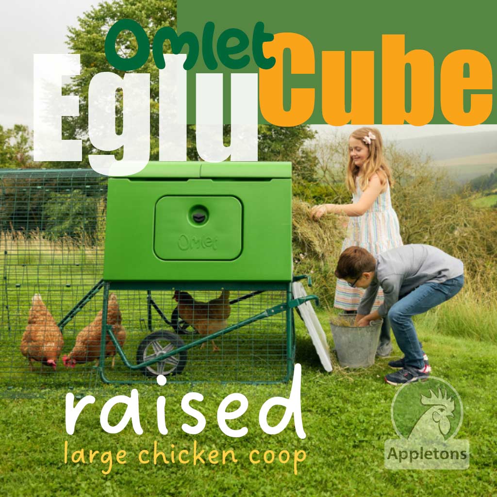 Omlet Eglu Cube Chicken Coop