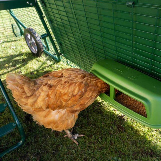 Eglu Go Feeder