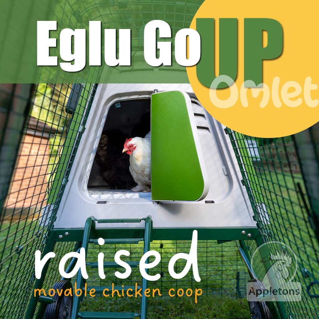 Omlet Eglu Go UP Raised Chicken Coop