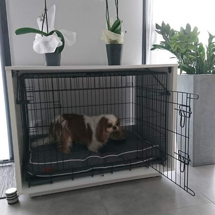 Fido Nook 36 with optional crate and crate lock