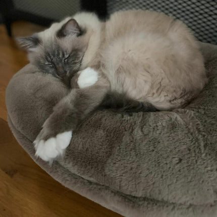 Maya Donut Cat Bed | Mouse Brown