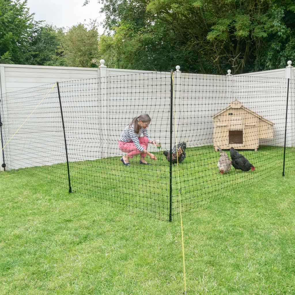 Omlet Chicken Fencing