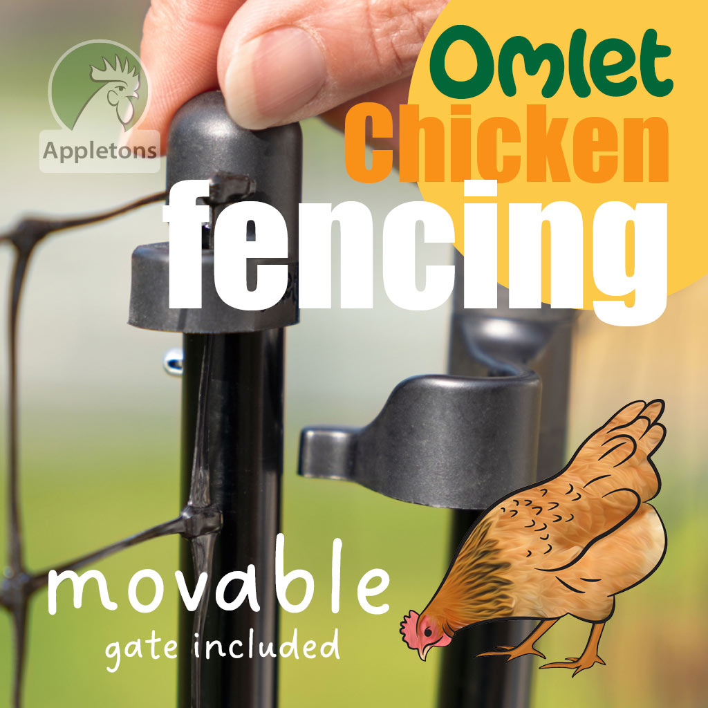 Omlet Chicken Fencing