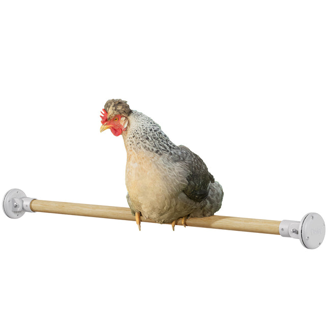 Omlet chicken run perch