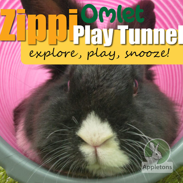 Omlet Zippi Play Tunnel for Rabbits