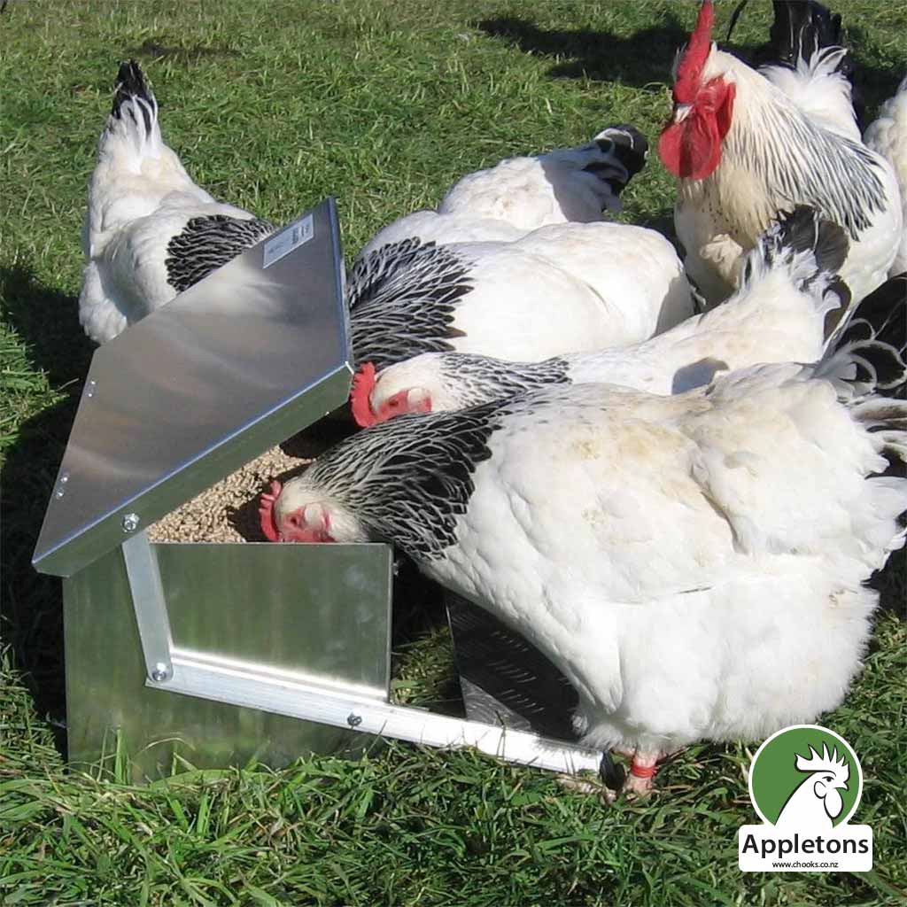 Appletons Chicken Step On Feeder Large
