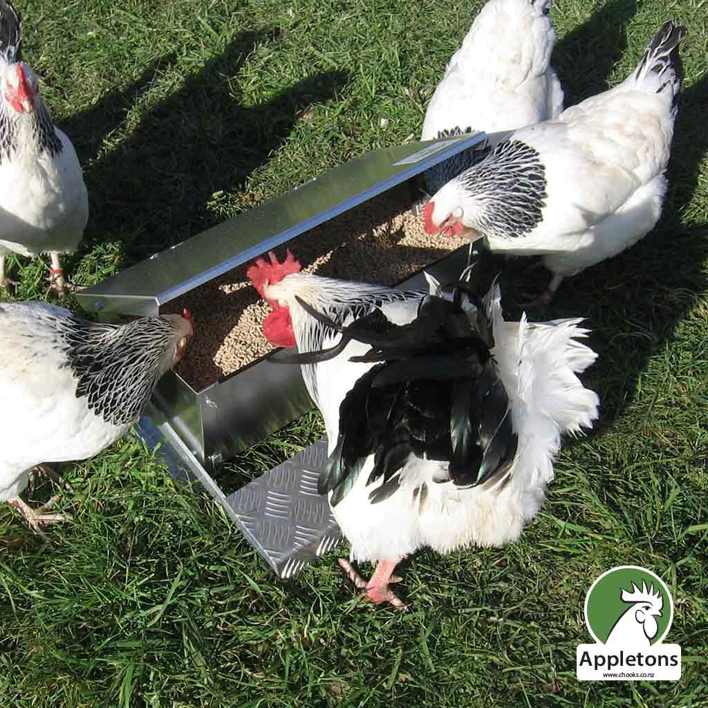Appletons Chicken Step On Feeder Large