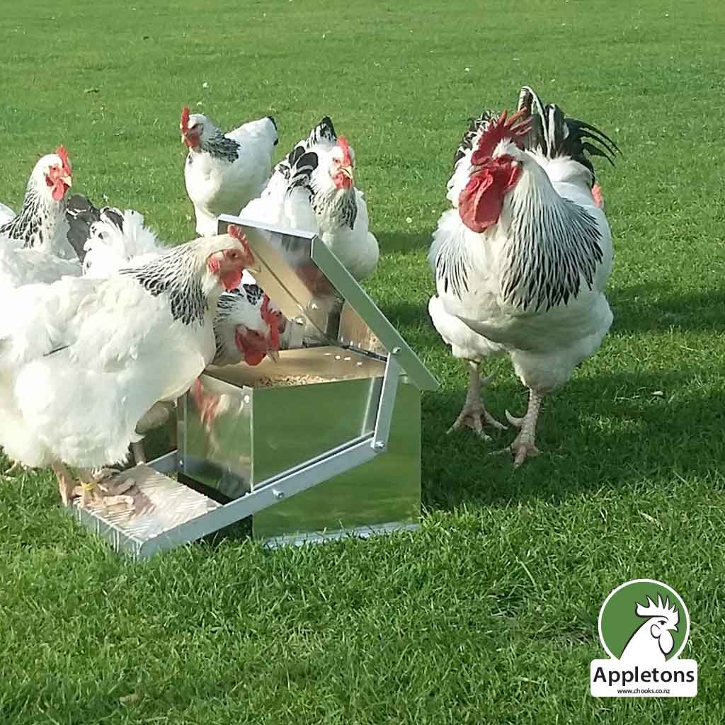 Appletons Chicken Step On Feeder Mini