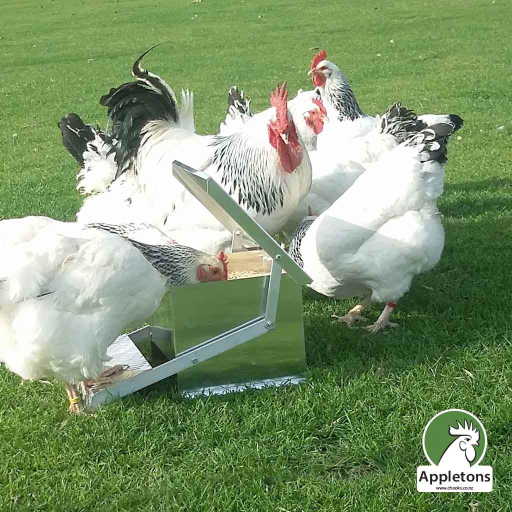 Appletons Chicken Step On Feeder Mini