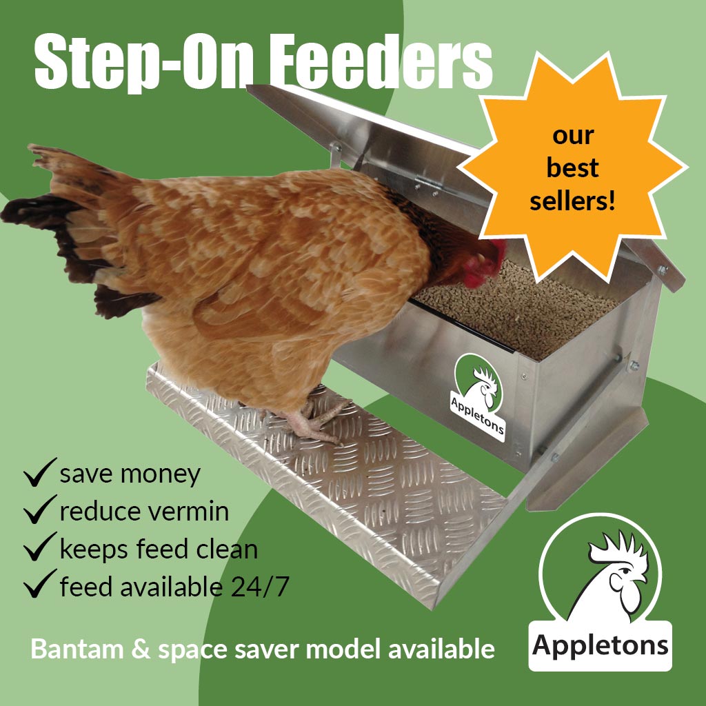 Appletons Large Step On Feeder for Laying Hens