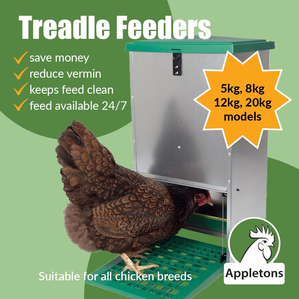 Olba Feed-o-matic Chicken Feeder