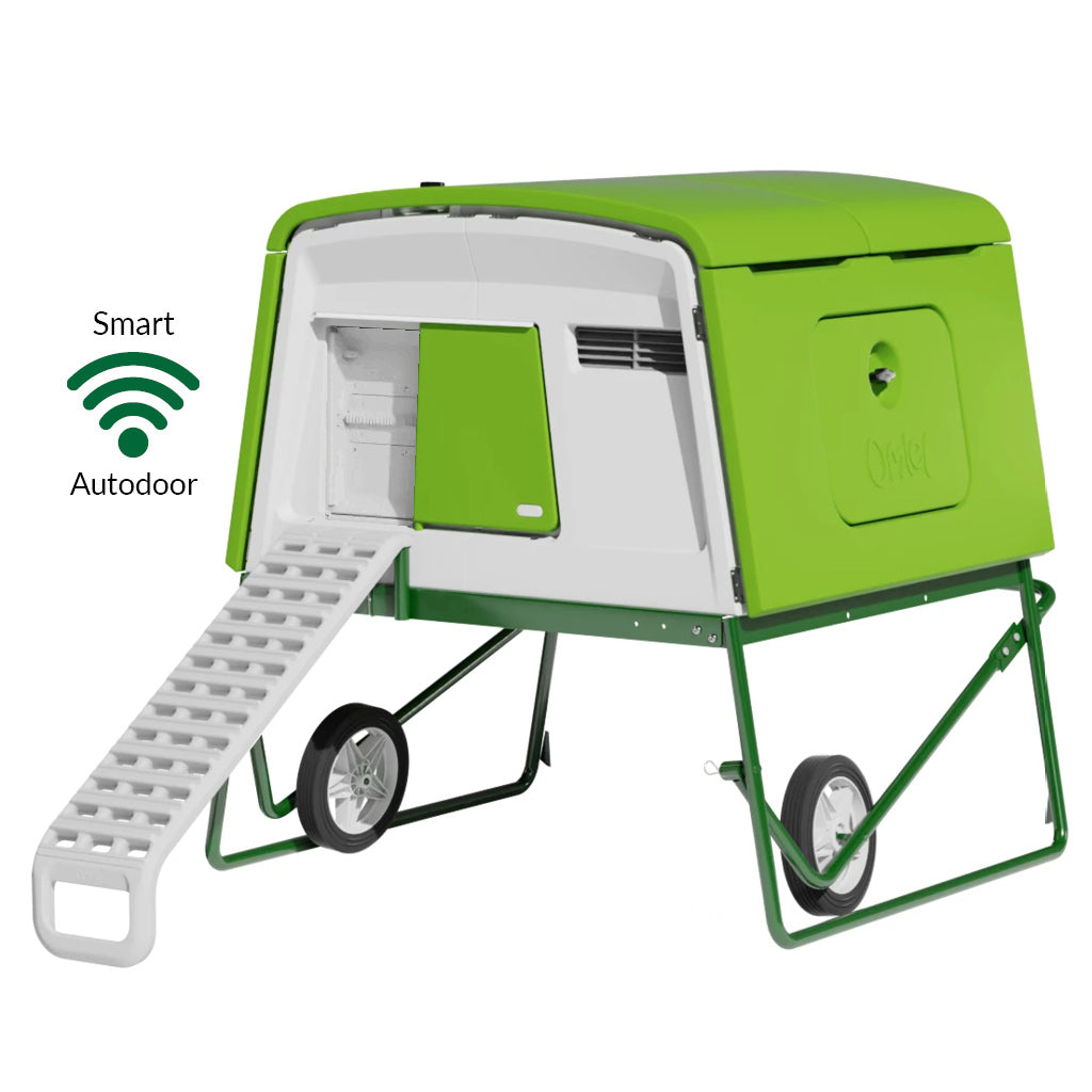 Eglu Cube House with frame and ladder plus SMART Autodoor and wheels