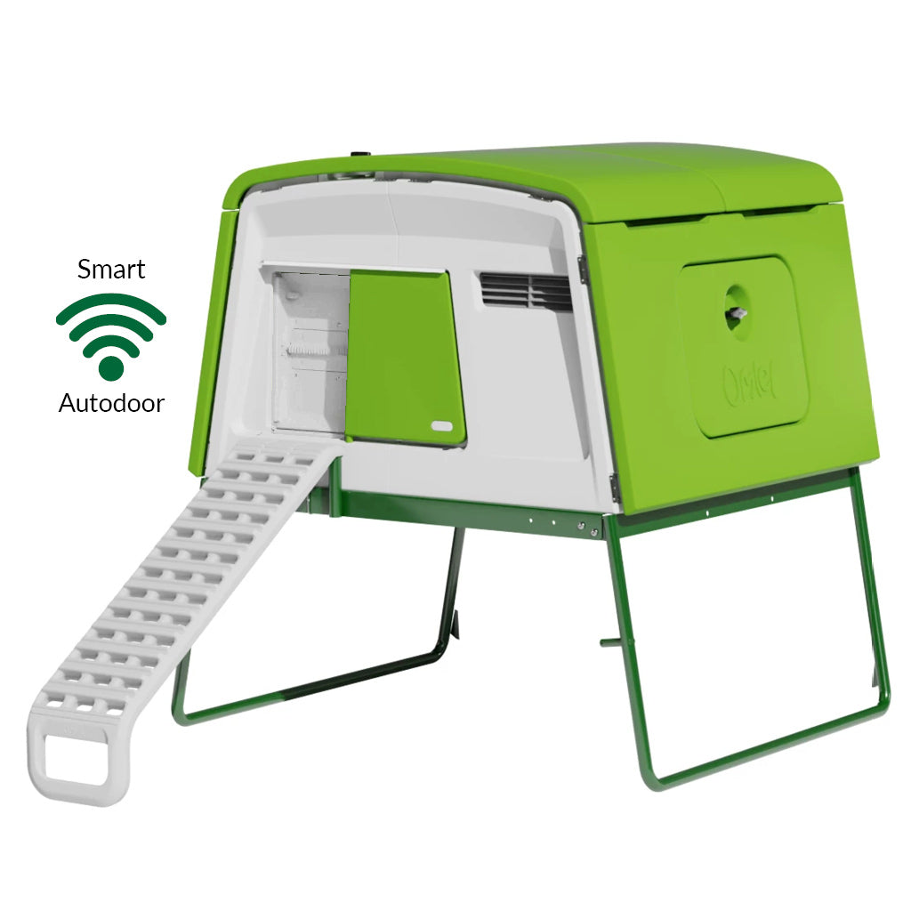 Eglu Cube House with frame and ladder plus SMART Autodoor