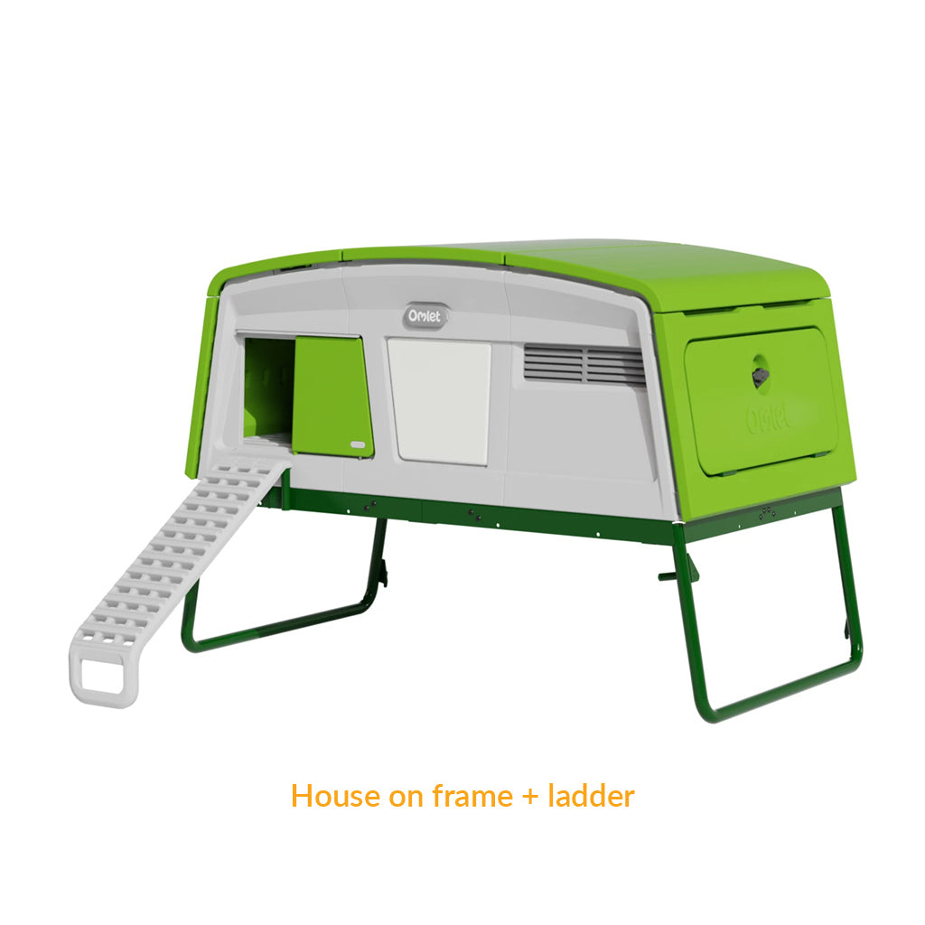 Eglu Pro House on frame plus ladder