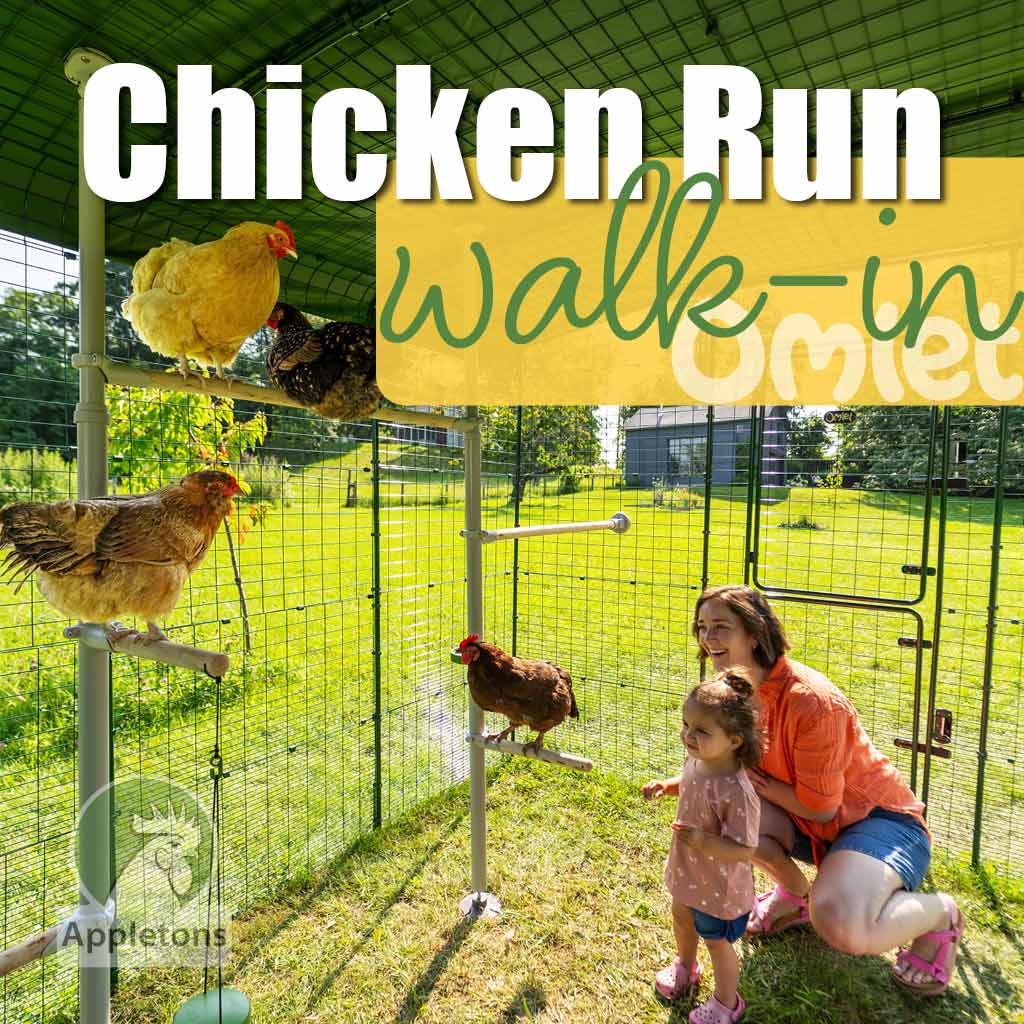 Omlet Walk-in Chicken Run