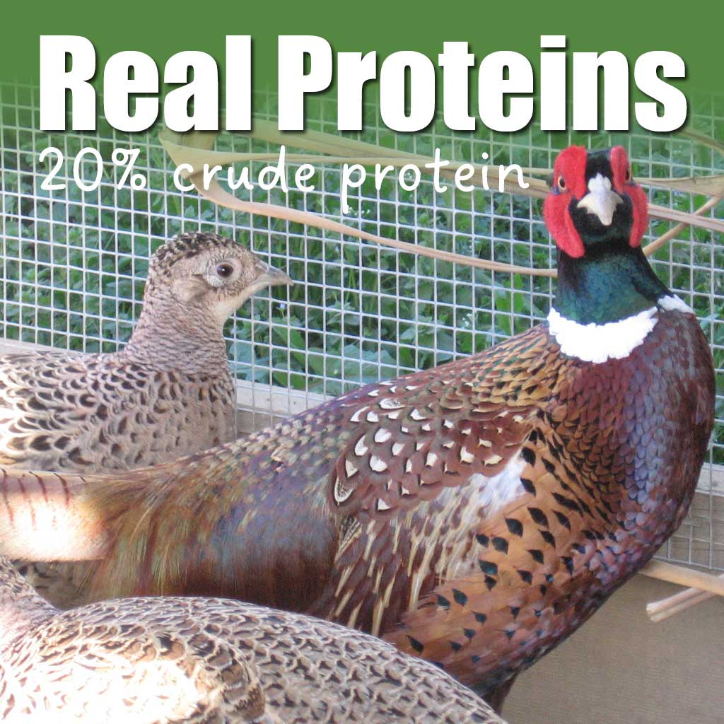 Weston Game Bird Crumble Real Proteins