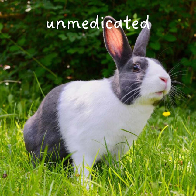 Weston Rabbit Pellet unmedicated