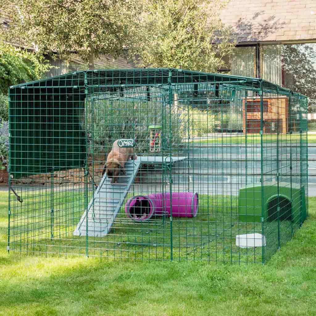 Good times abound in a Zippi Run or Playpen