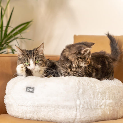 cats relaxing in the easy to clean donut cat bed