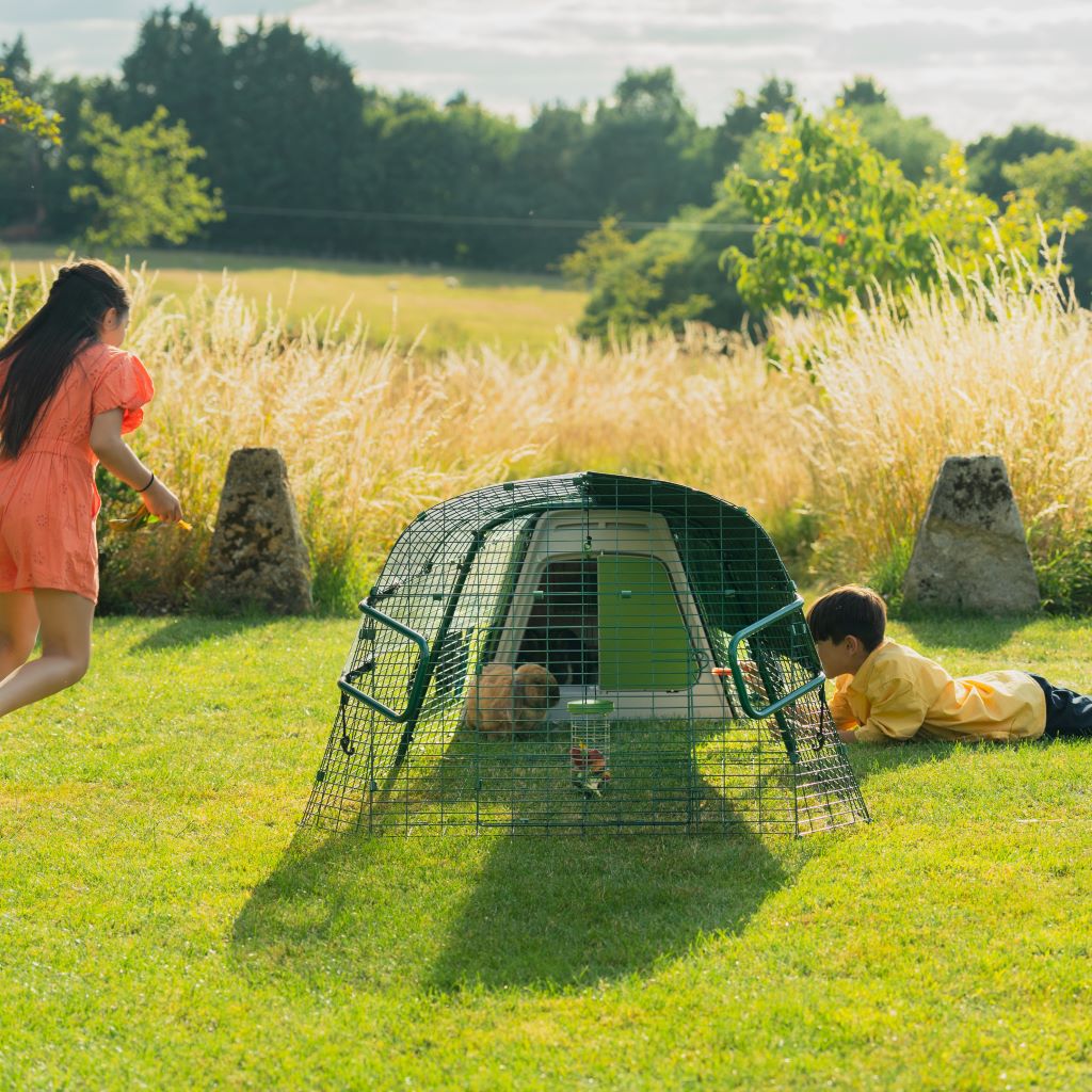 Omlet Eglu Go Rabbit Hutch