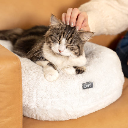 elegant snowball white soft donut cat bed