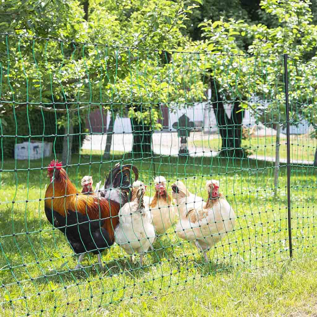 Kerbl chicken fencing