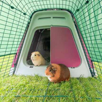 Eglu Go Guinea Pig Hutch & 1m run is suitable for two to three guinea pigs (or a small rabbit) 